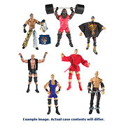 WWE Elite Collection Wave 21 Action Figure Case
